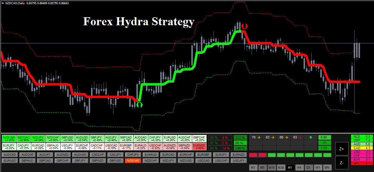 forex trading strategies reviews
