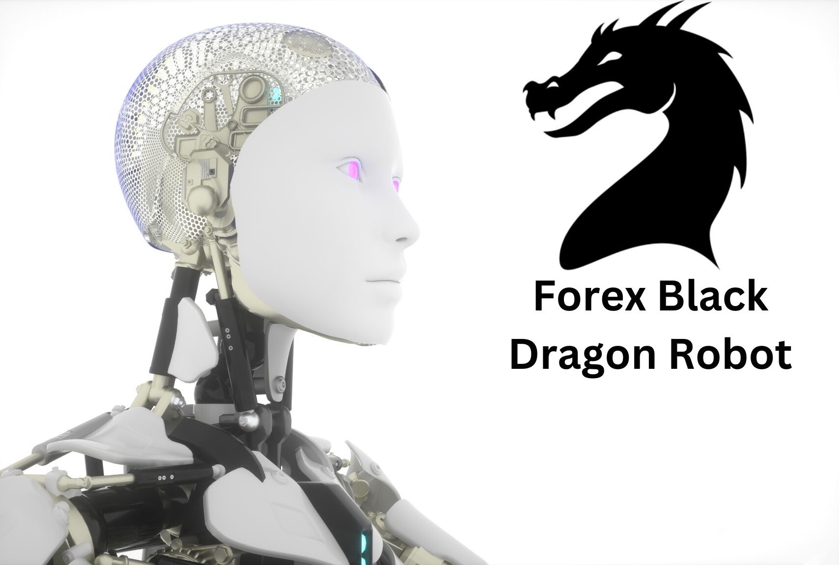 Forex Black Dragon Robot