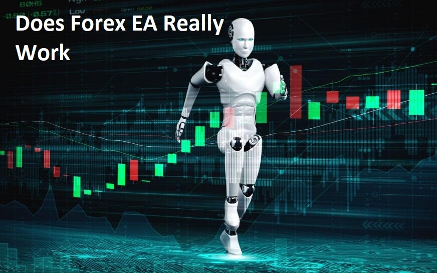 Does Forex EA Really Work
