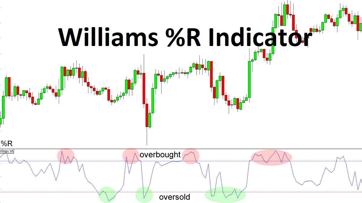 Williams R Indicator