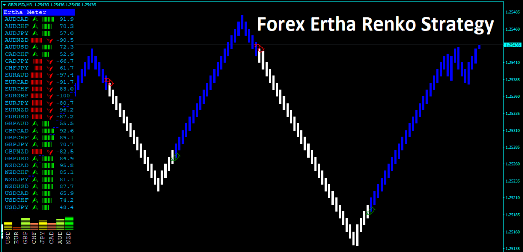 Forex Ertha Renko Strategy