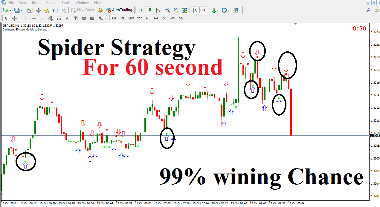 SPIDER STRATEGY BINARY OPTIONS trading