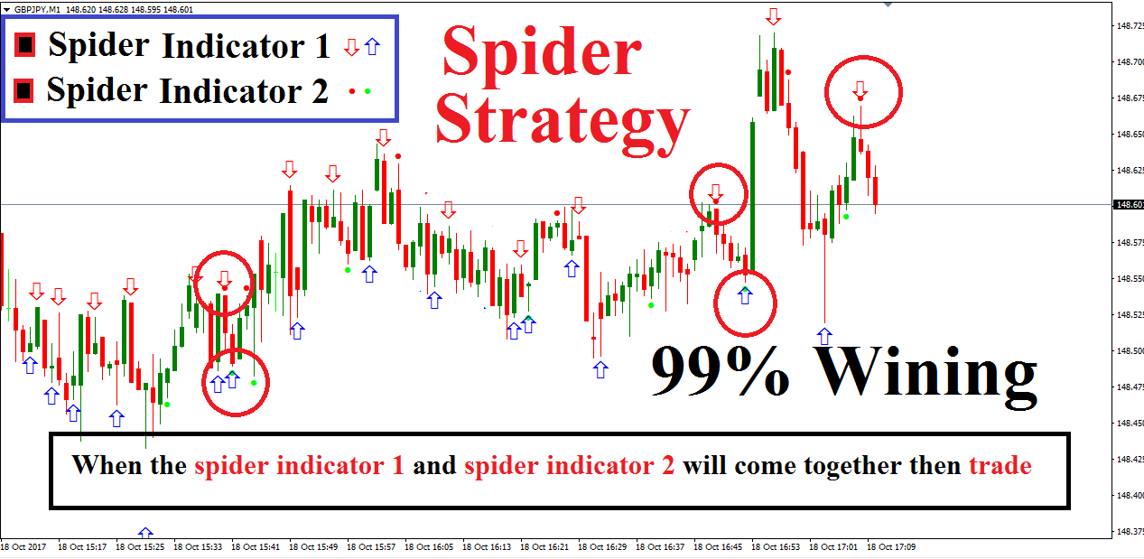 SPIDER STRATEGY BINARY OPTIONS