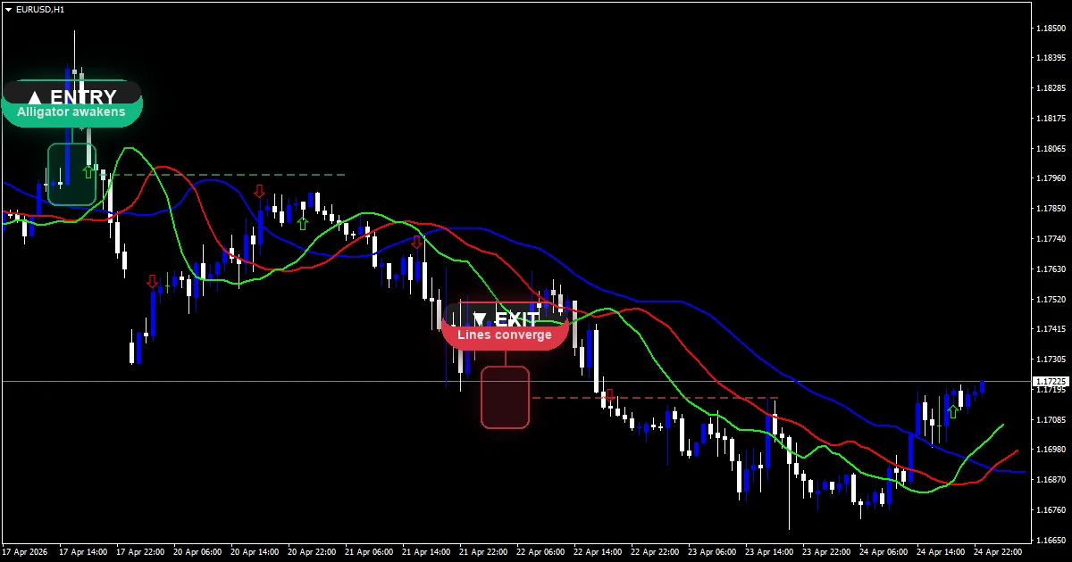 Alligator indicator eating phase buy and sell signals on MT4 EURUSD H1 chart